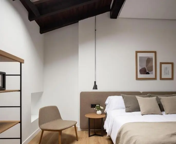 اتاق سوپریور, Etxeaundi Hotel Boutique