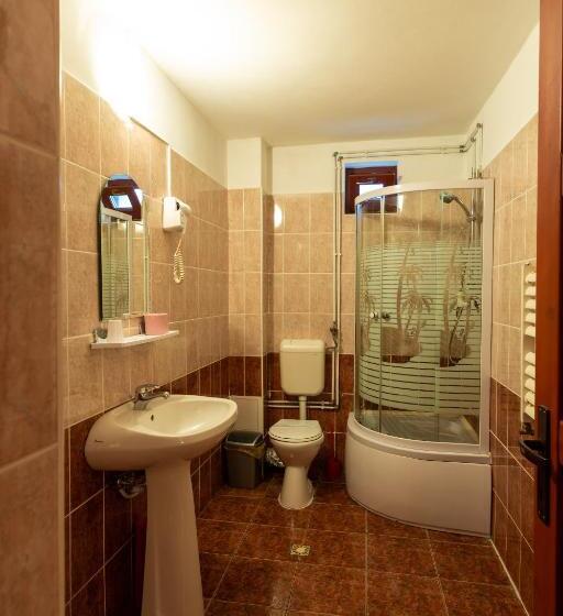 Люкс 2 Спальни, Pensiunea Casa Porojan