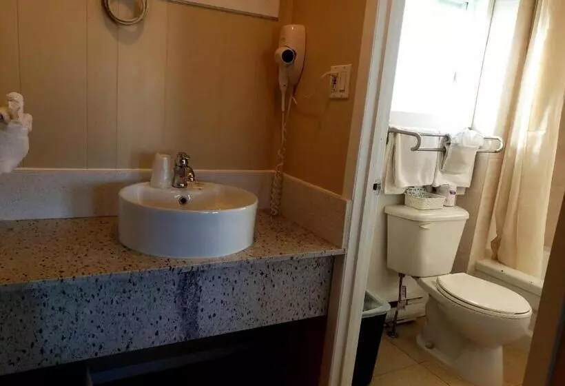 اتاق استاندارد با تخت بزرگ, Blue Moon Motel