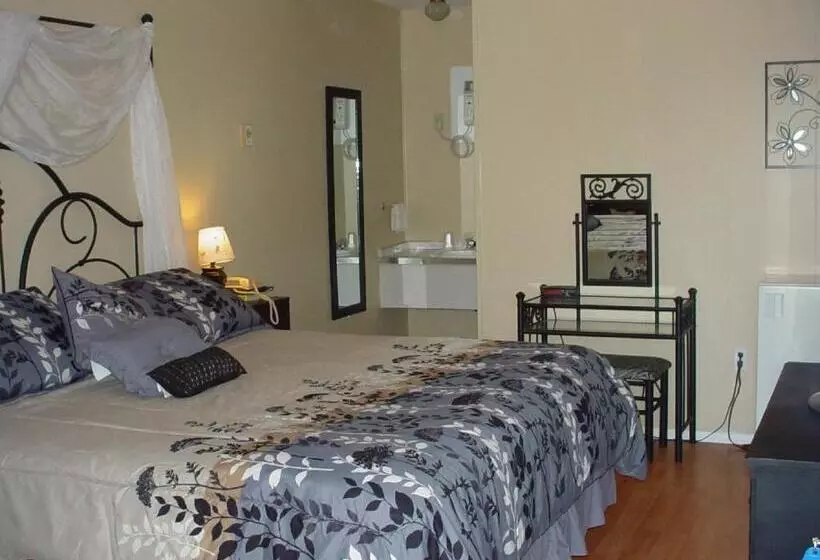 اتاق استاندارد با تخت بزرگ, Blue Moon Motel