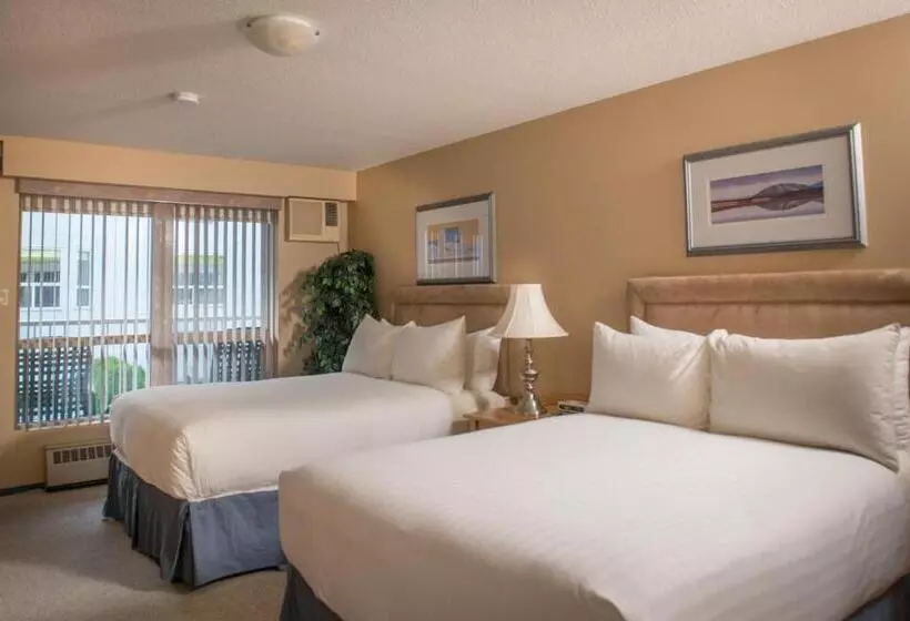 اتاق استاندارد با 2 تخت دوبل, Hilltop Inn Salmon Arm