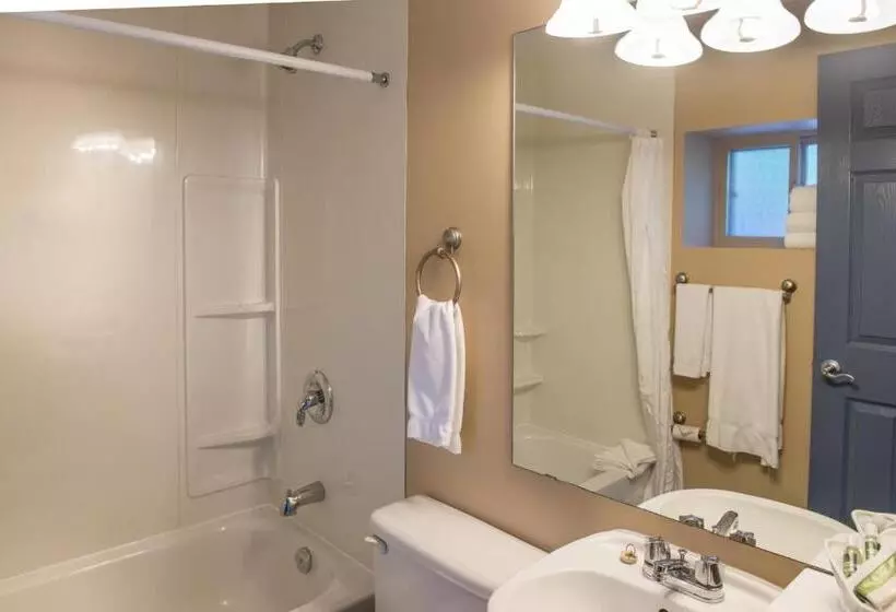 اتاق استاندارد با تخت بزرگ, Hilltop Inn Salmon Arm