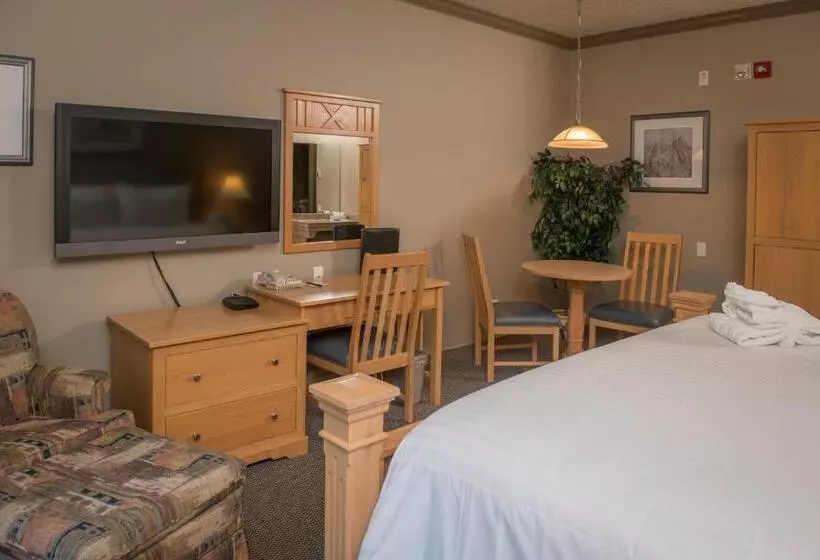 اتاق استاندارد با تخت بزرگ, Hilltop Inn Salmon Arm