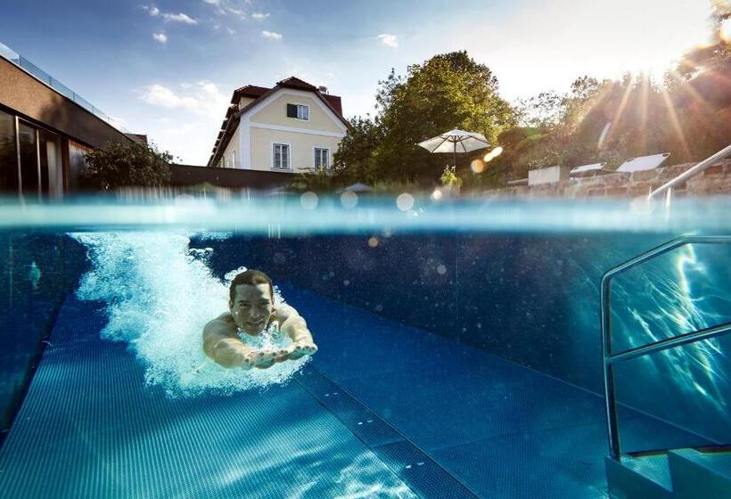 חדר ביזנס, Landhaus Moserhof