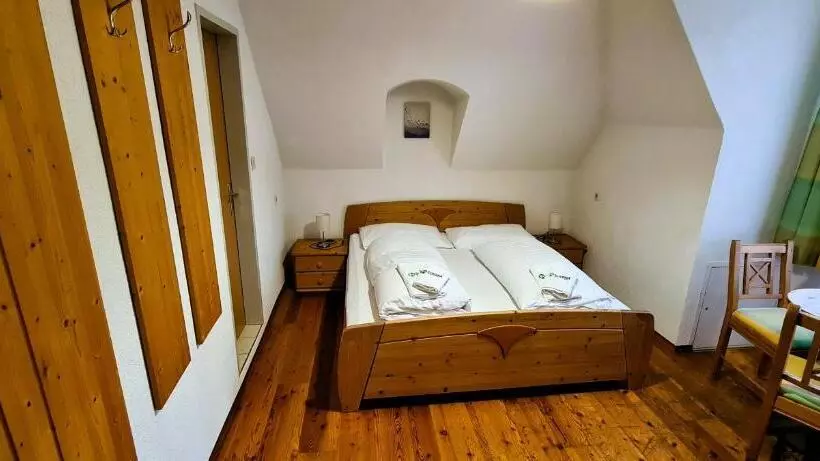 Standard-huone Vuoristonäkymä, Kurhotel Renona Rehabilitation