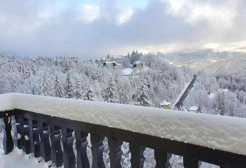 景色の見える一ベッドルームアパートメント, Kurhotel Renona Rehabilitation