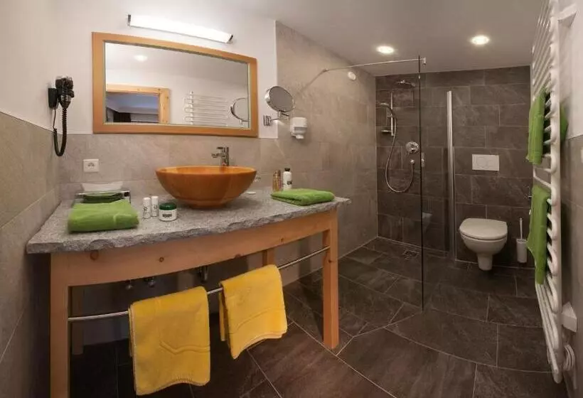 اتاق استاندارد, Natur  & Wanderhotel Tuxertal