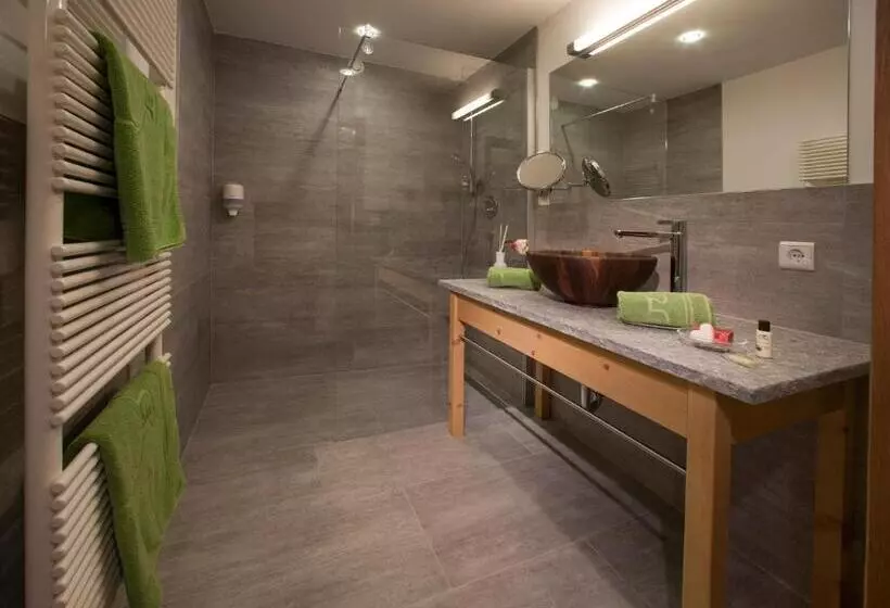اتاق استاندارد, Natur  & Wanderhotel Tuxertal