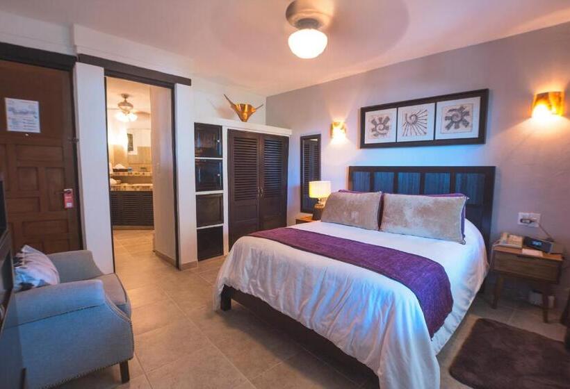 חדר דלוקס, Casa Cupula Luxury Lgbt Boutique