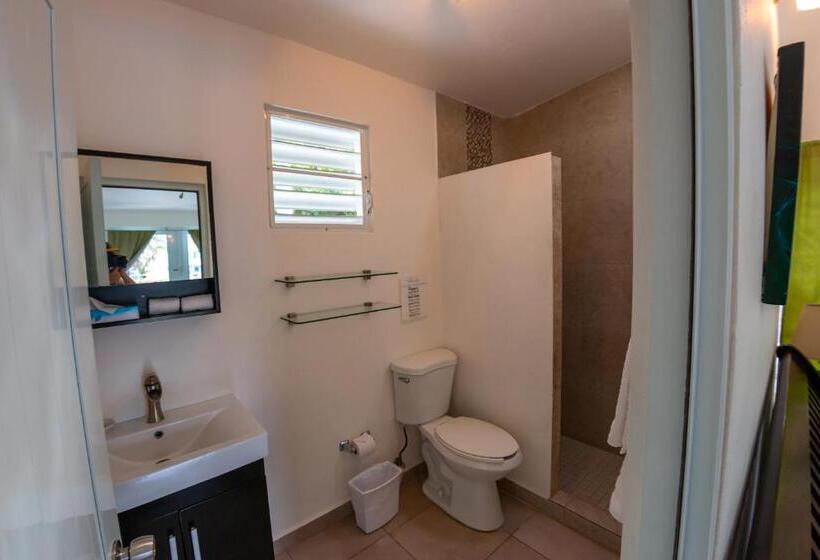 Chambre Standard, Casa Verde