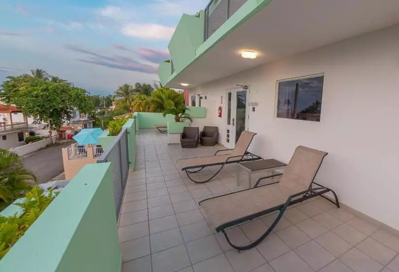 سوییت جونیور, Casa Verde