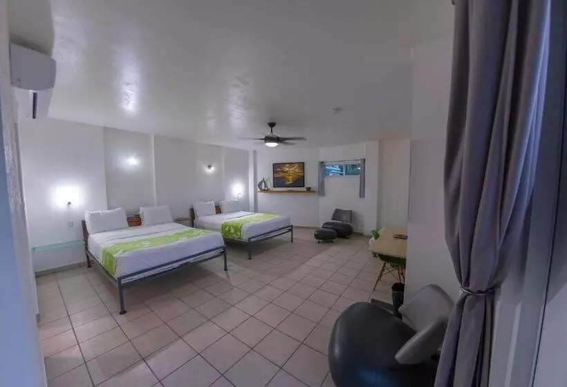 سوییت جونیور, Casa Verde