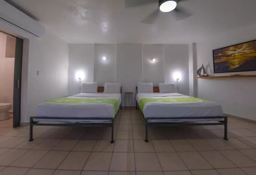 سوییت جونیور, Casa Verde