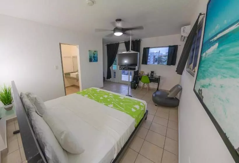 اتاق سوپریور با تخت بزرگ, Casa Verde