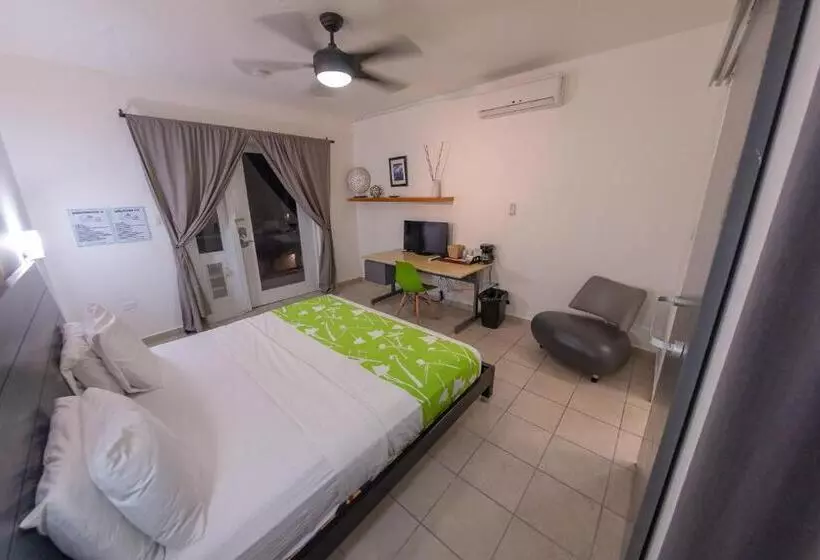 اتاق سوپریور با تخت بزرگ, Casa Verde