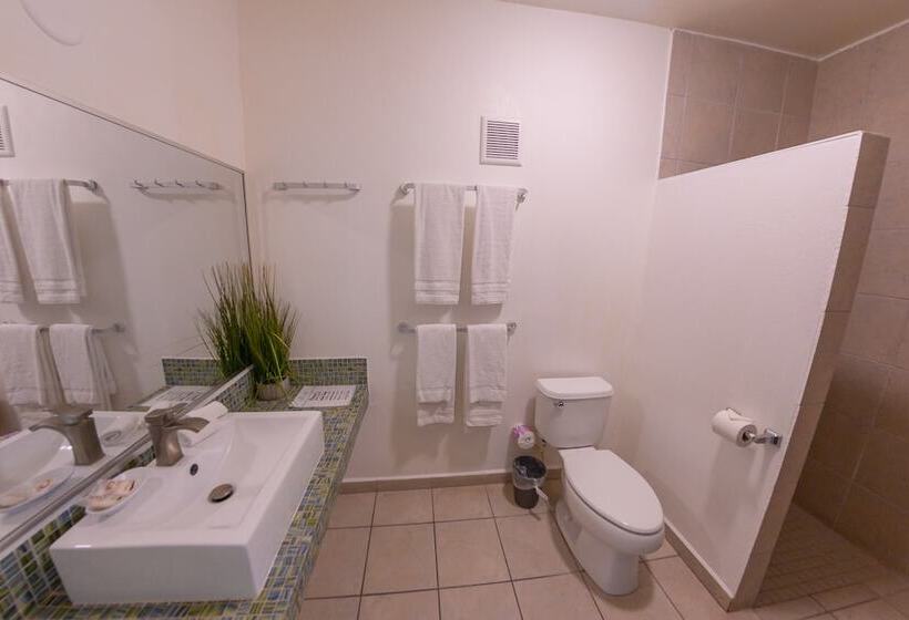 Chambre Standard, Casa Verde