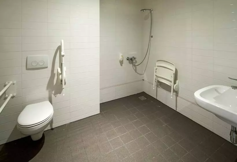 اتاق سوپریور برای معلولان, Easyhotel Rotterdam City Centre