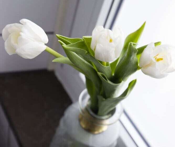 스위트, L Hjalmar