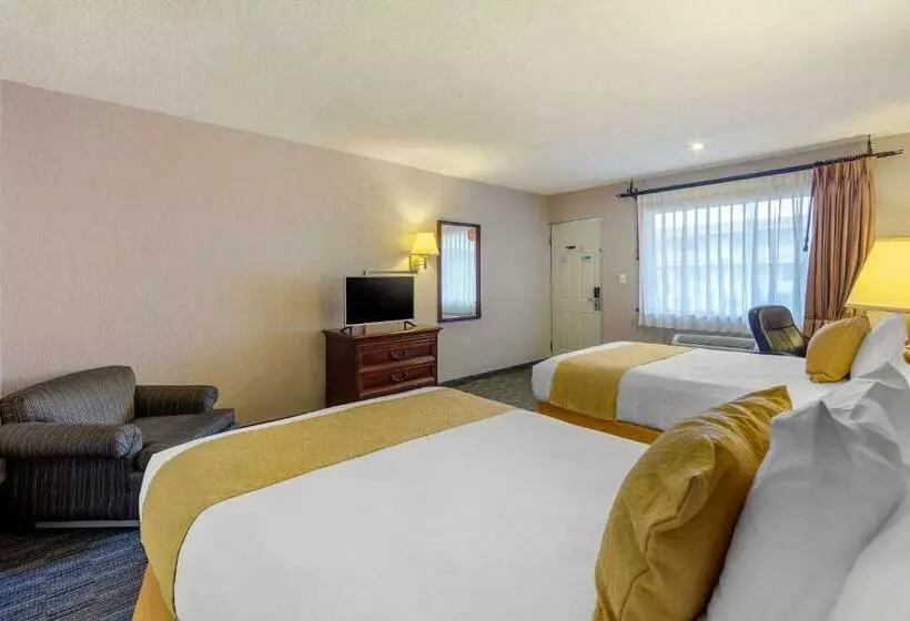 اتاق استاندارد, Quality Inn Piedras Negras