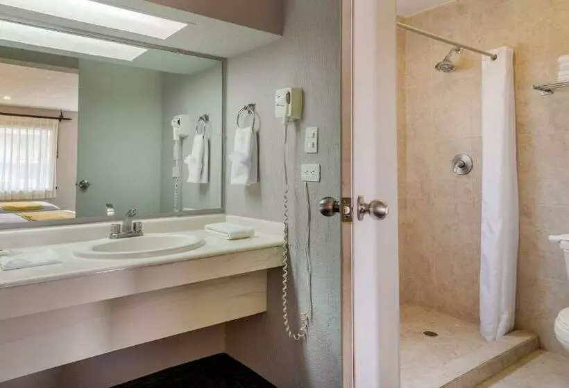 اتاق استاندارد, Quality Inn Piedras Negras