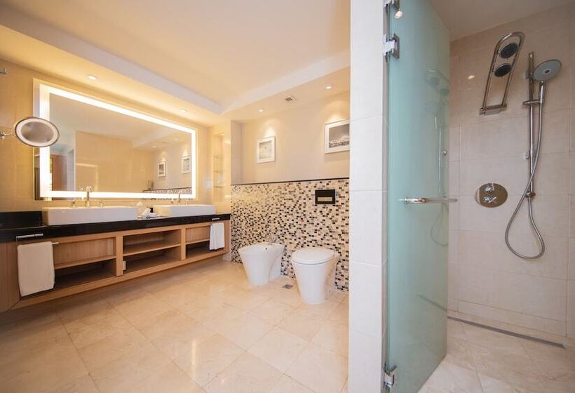 اتاق اجرایی, Radisson Blu Hotel, Doha