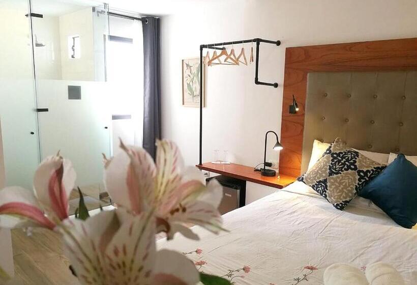 اتاق استاندارد, Belma Boutique Bed And Breakfast