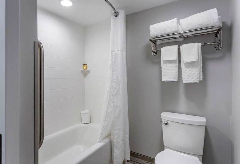 标准间带双人床, Best Western Plus Apple Valley Lodge Pigeon Forge