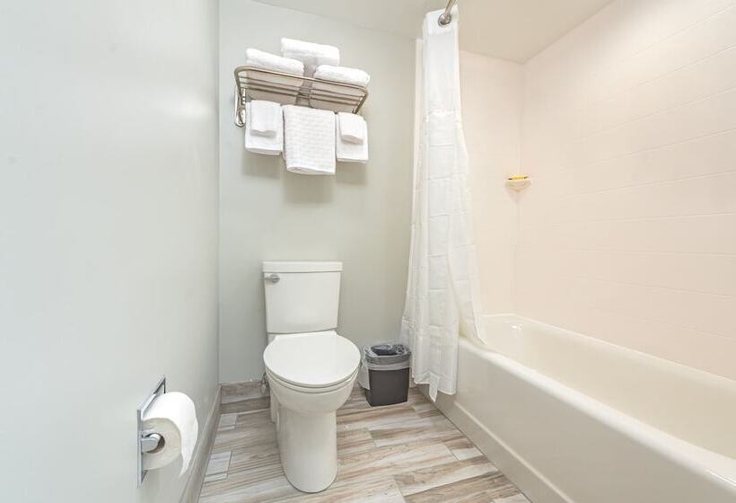 标准间带双人床, Best Western Plus Apple Valley Lodge Pigeon Forge