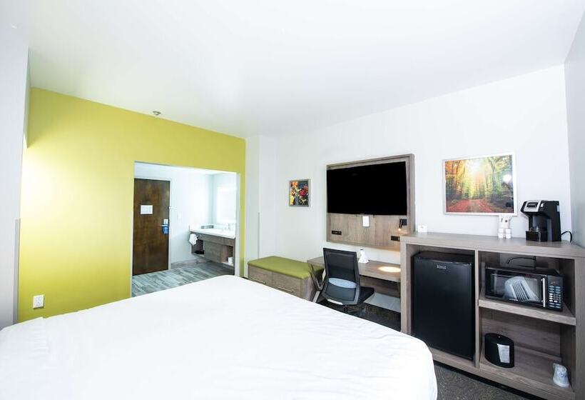 标准间带双人床, Best Western Plus Apple Valley Lodge Pigeon Forge