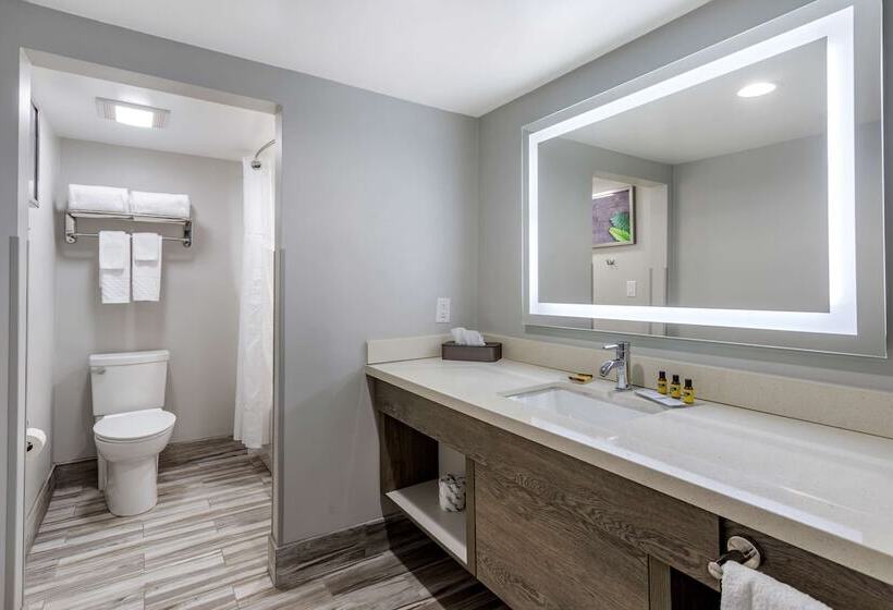 标准间带双人床, Best Western Plus Apple Valley Lodge Pigeon Forge