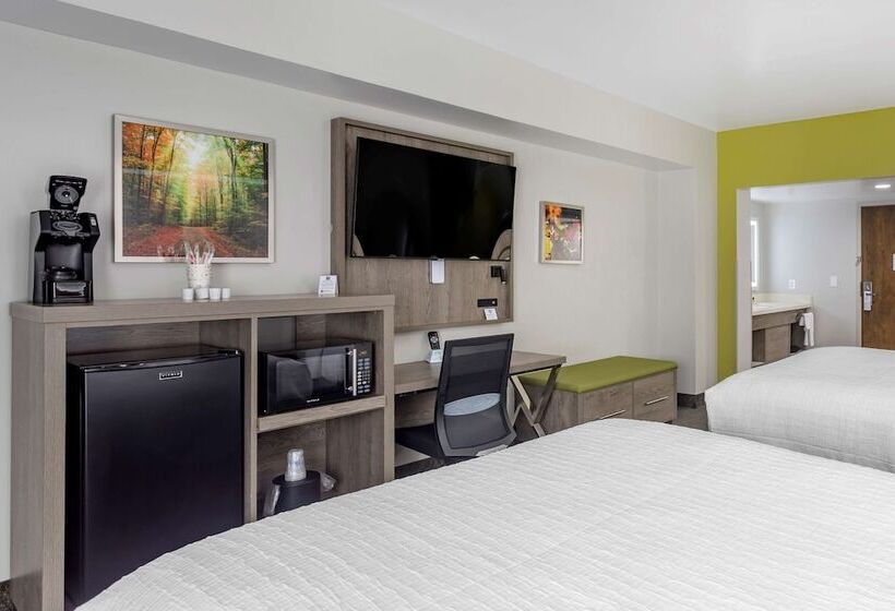 带2个双人床的标准工作室, Best Western Plus Apple Valley Lodge Pigeon Forge