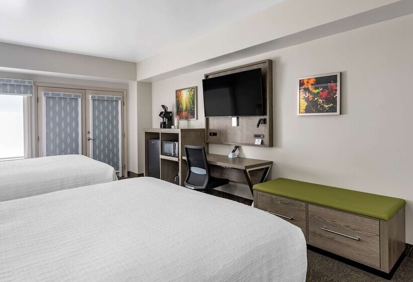 带2个双人床的标准工作室, Best Western Plus Apple Valley Lodge Pigeon Forge