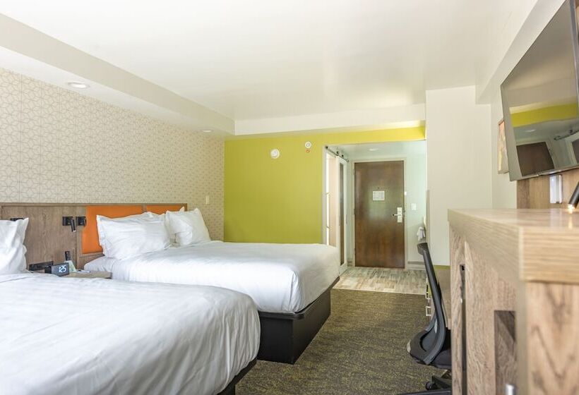 带2个双人床的标准工作室, Best Western Plus Apple Valley Lodge Pigeon Forge