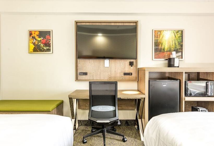 带2个双人床的标准工作室, Best Western Plus Apple Valley Lodge Pigeon Forge