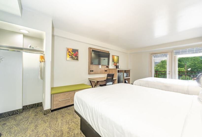 带2个双人床的标准工作室, Best Western Plus Apple Valley Lodge Pigeon Forge