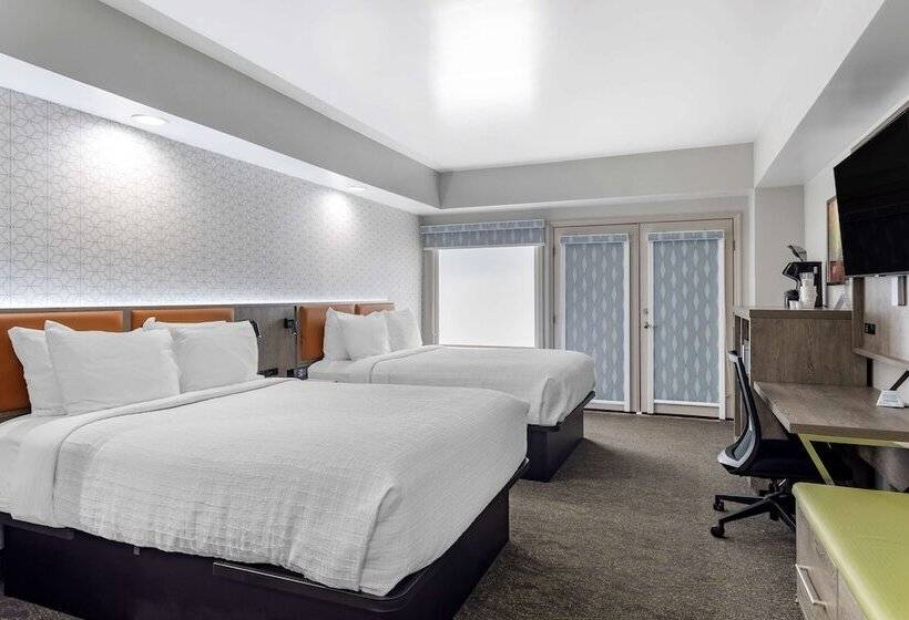 带2个双人床的标准工作室, Best Western Plus Apple Valley Lodge Pigeon Forge