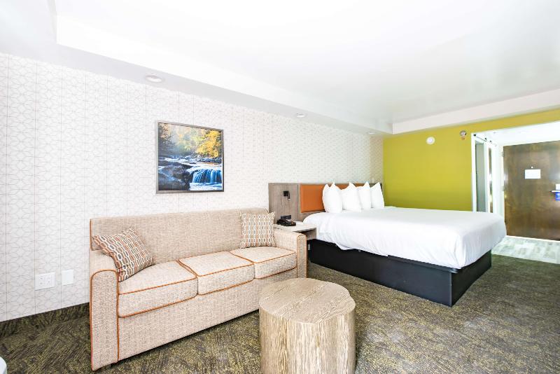 带大床的标准间, Best Western Plus Apple Valley Lodge Pigeon Forge