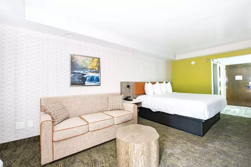 キングサイズベッドのスタンダードルーム, Best Western Plus Apple Valley Lodge Pigeon Forge
