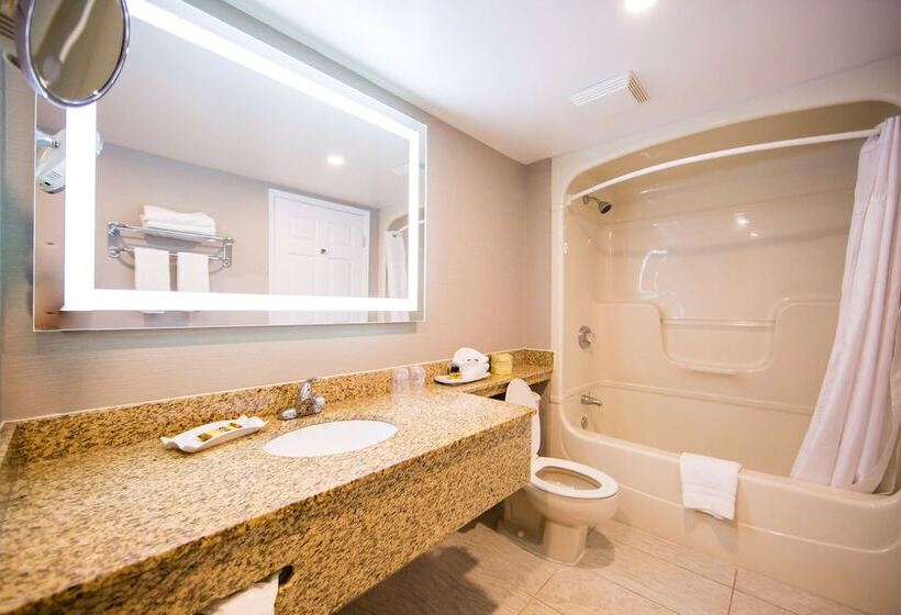 ハイドロマッサージバス付きスイート, Best Western Plus Ottawa Kanata Hotel And Conference Centre