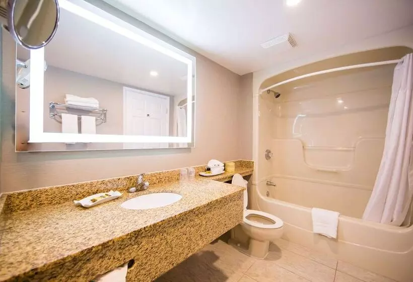 ハイドロマッサージバス付きスイート, Best Western Plus Ottawa Kanata Hotel And Conference Centre