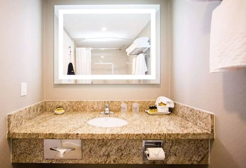 ハイドロマッサージバス付きスイート, Best Western Plus Ottawa Kanata Hotel And Conference Centre