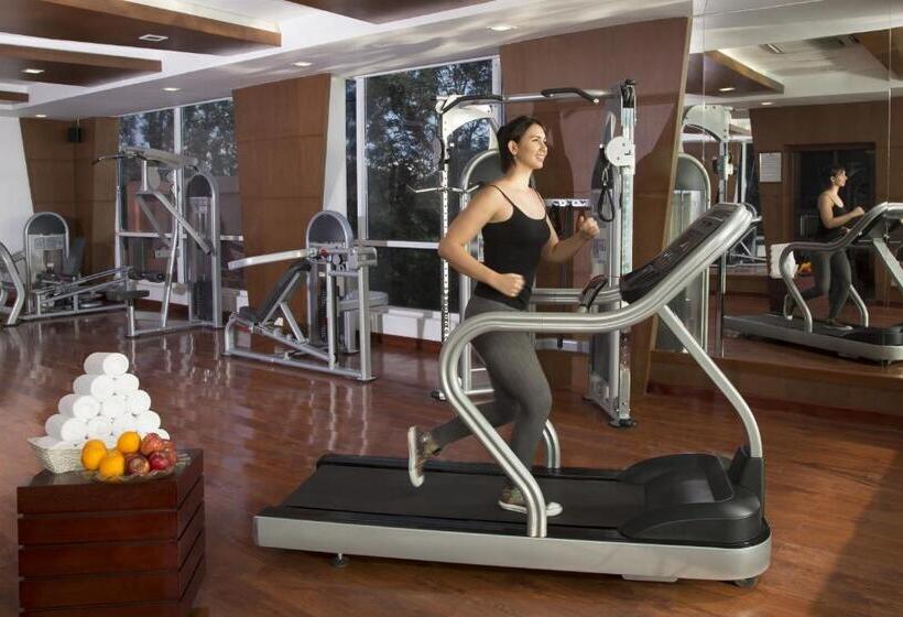 اتاق سوپریور, Mysore County Retreat