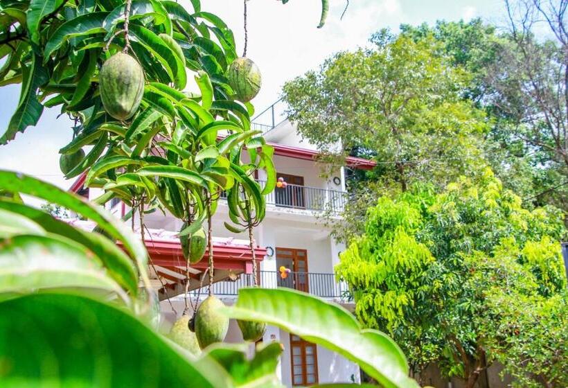 Трехместный Номер Стандарт Вид на Сад, Three Elephant Holiday Inn