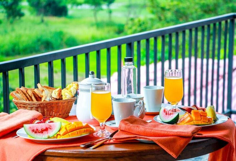 Номер Deluxe, Three Elephant Holiday Inn