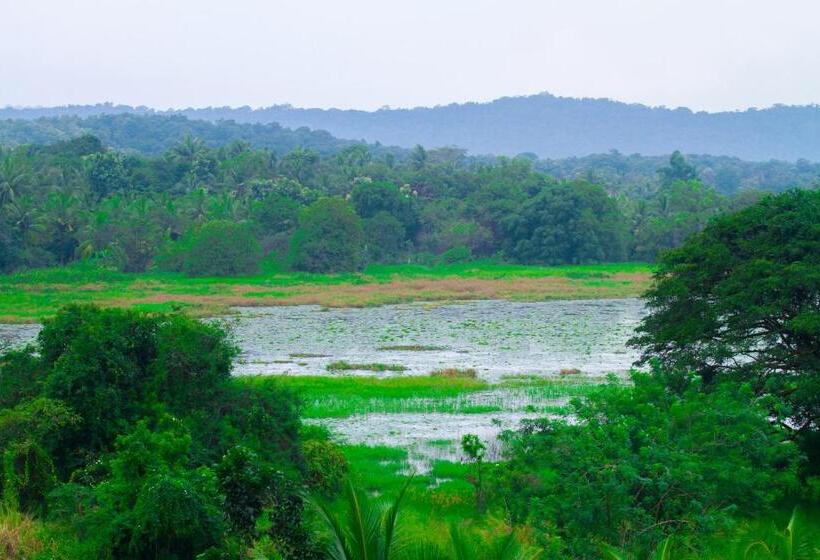 Номер Стандарт Вид на Озеро, Three Elephant Holiday Inn