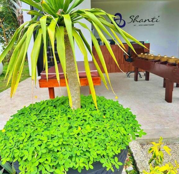 Standard Tent, Shanti Wellness Sanctuary