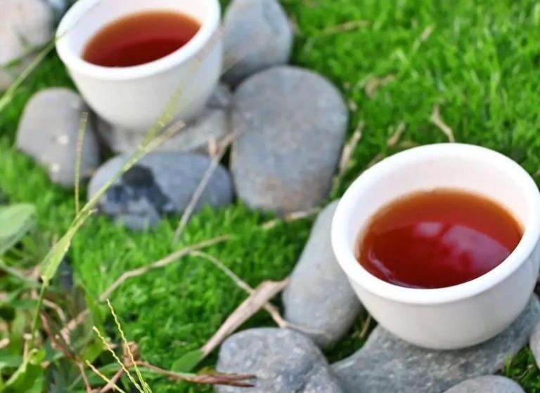 别墅: 1间卧室带游泳池, Shanti Wellness Sanctuary