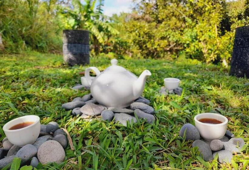 Standard Tent, Shanti Wellness Sanctuary