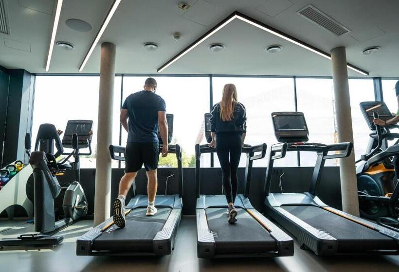 수피리어 룸, Grefis