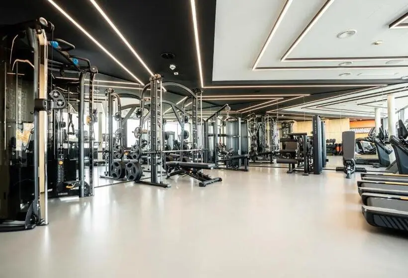 Studio Standard, Grefis